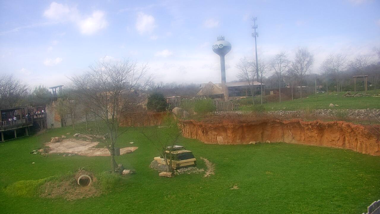 Thumbnail for current weather camera view from Columbus Zoo and Aquarium in Powell, Ohio