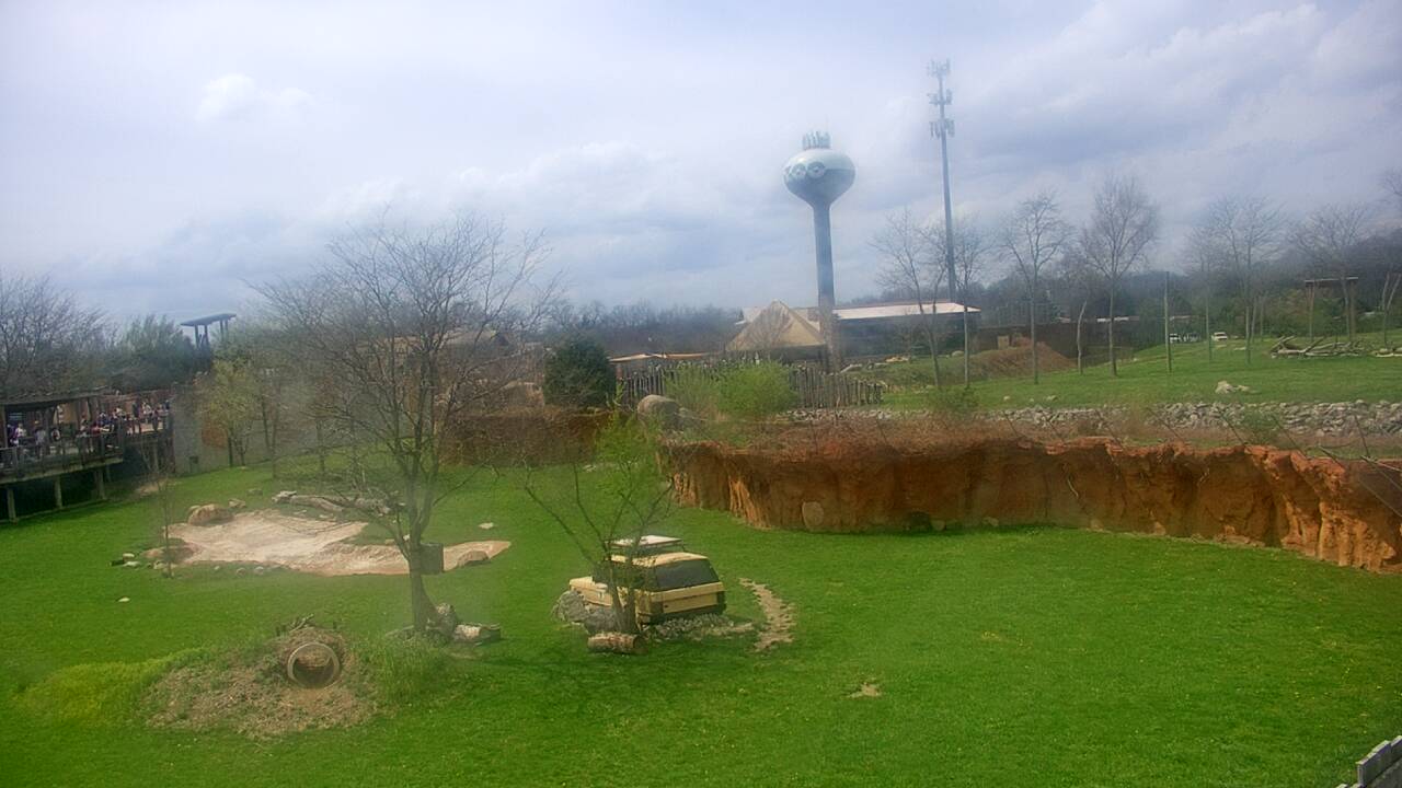 Thumbnail for current weather camera view from Columbus Zoo and Aquarium in Powell, Ohio