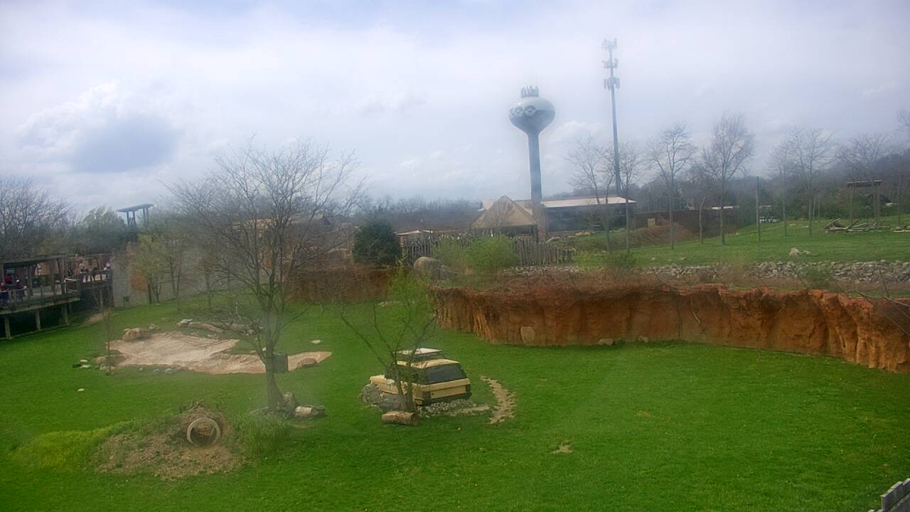 Thumbnail for current weather camera view from Columbus Zoo and Aquarium in Powell, Ohio