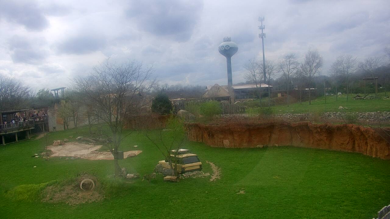 Thumbnail for current weather camera view from Columbus Zoo and Aquarium in Powell, Ohio