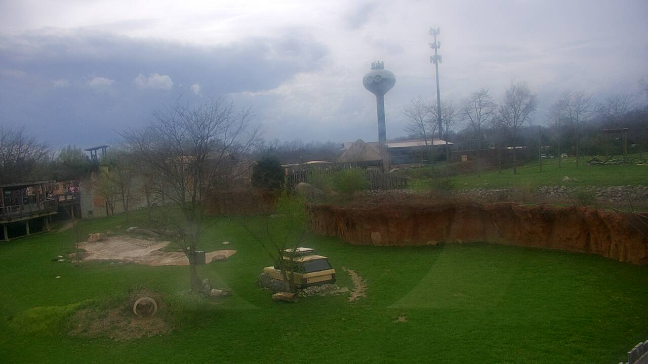 Thumbnail for current weather camera view from Columbus Zoo and Aquarium in Powell, Ohio