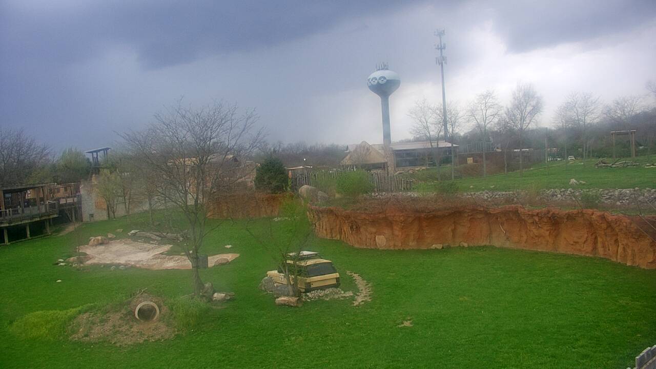 Thumbnail for current weather camera view from Columbus Zoo and Aquarium in Powell, Ohio