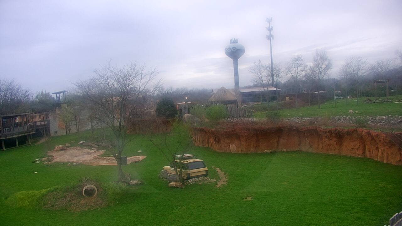 Thumbnail for current weather camera view from Columbus Zoo and Aquarium in Powell, Ohio