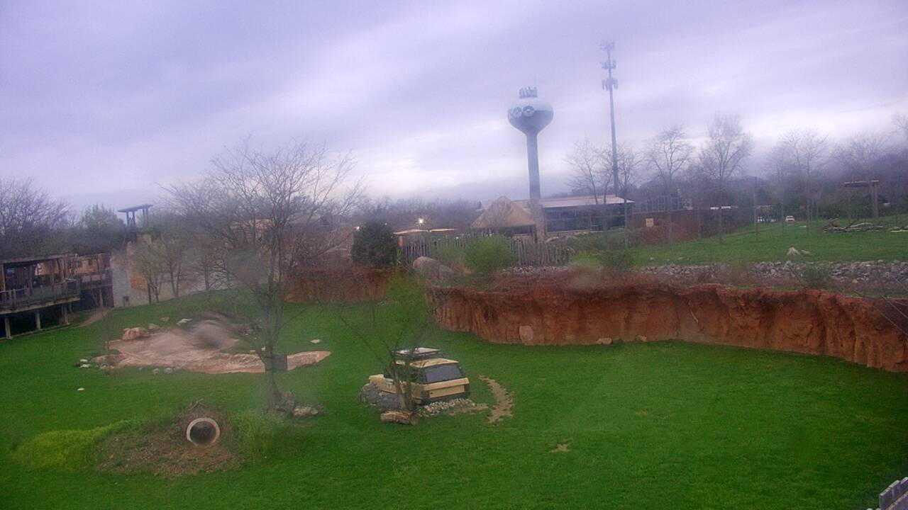 Thumbnail for current weather camera view from Columbus Zoo and Aquarium in Powell, Ohio
