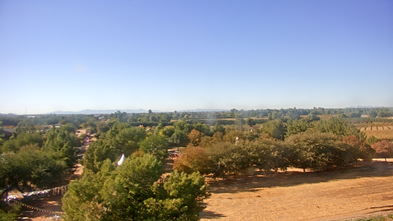 Thumbnail for current weather camera view from Schnepf Farms in Queen Creek, Arizona