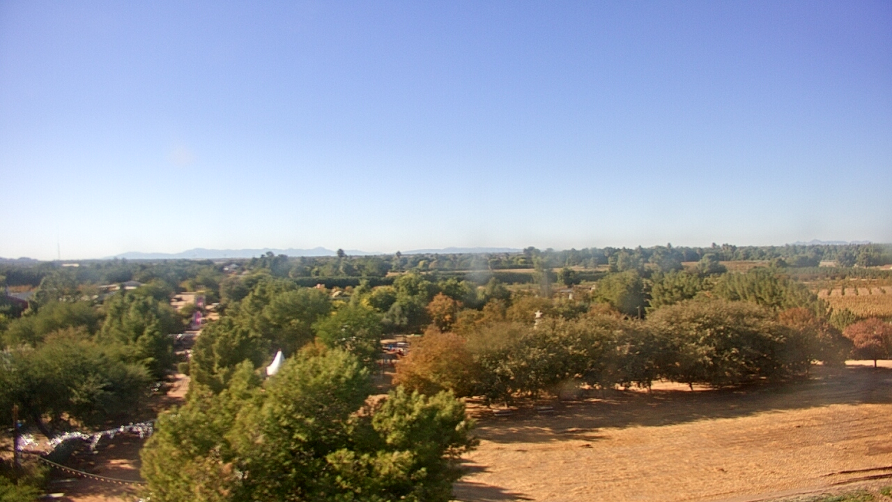 Thumbnail for current weather camera view from Schnepf Farms in Queen Creek, Arizona