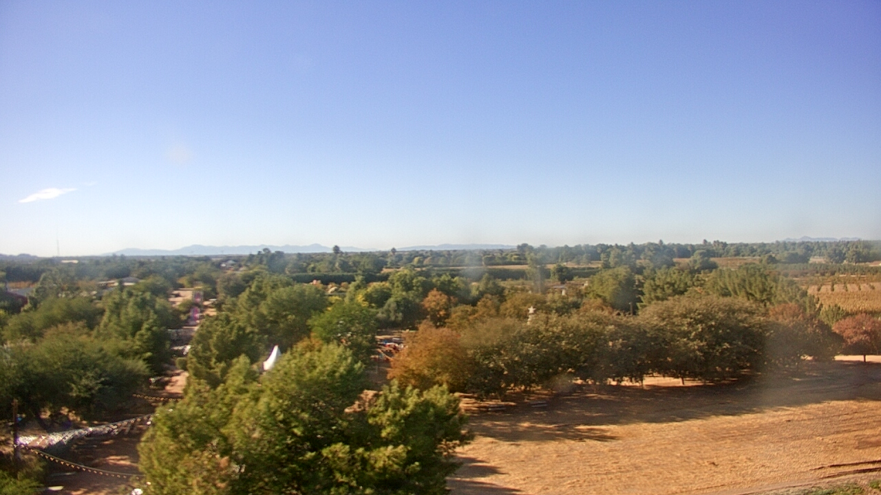 Thumbnail for current weather camera view from Schnepf Farms in Queen Creek, Arizona