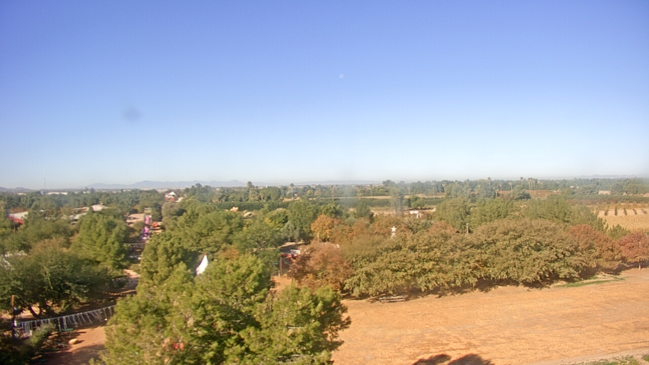 Thumbnail for current weather camera view from Schnepf Farms in Queen Creek, Arizona