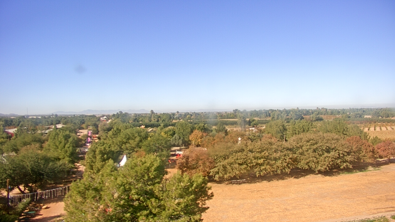 Thumbnail for current weather camera view from Schnepf Farms in Queen Creek, Arizona