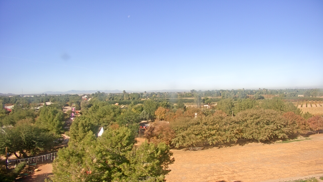 Thumbnail for current weather camera view from Schnepf Farms in Queen Creek, Arizona