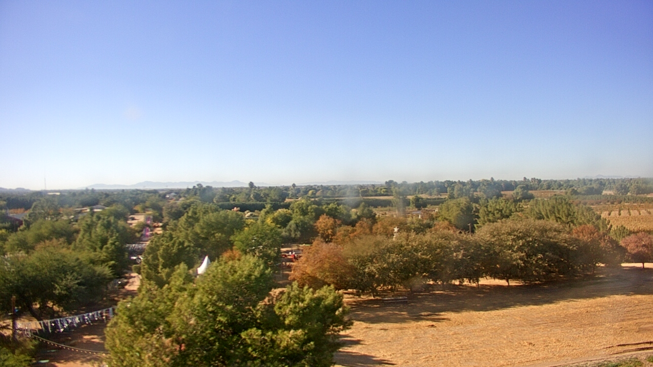 Thumbnail for current weather camera view from Schnepf Farms in Queen Creek, Arizona