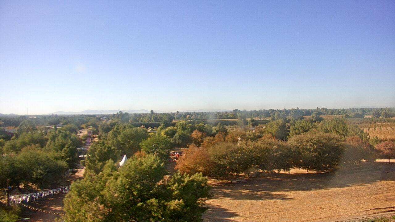 Thumbnail for current weather camera view from Schnepf Farms in Queen Creek, Arizona