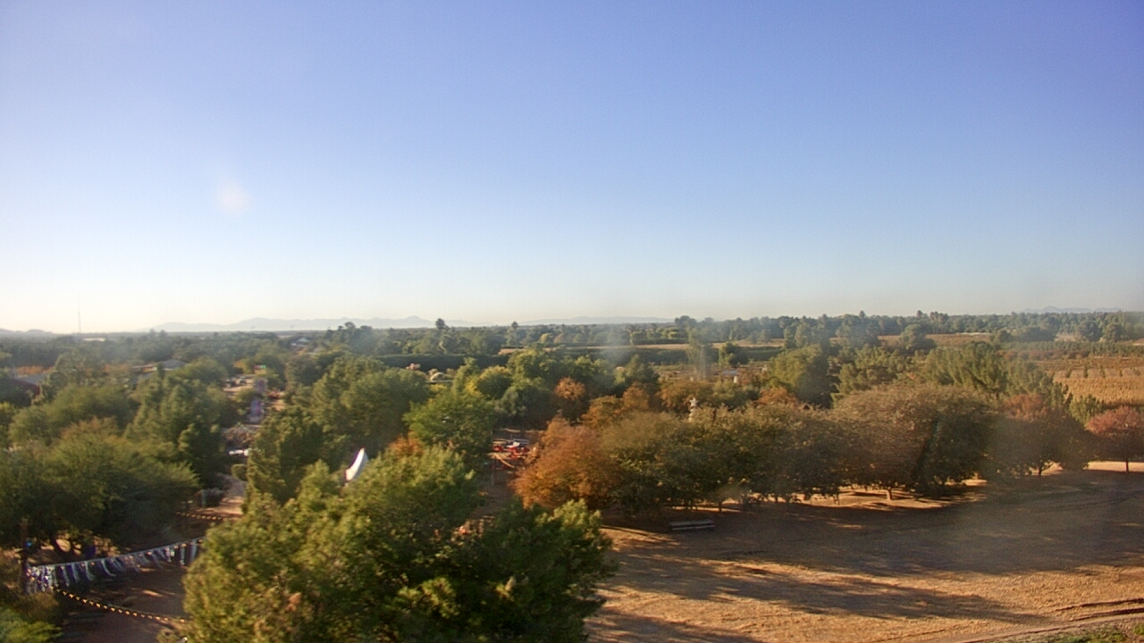 Thumbnail for current weather camera view from Schnepf Farms in Queen Creek, Arizona