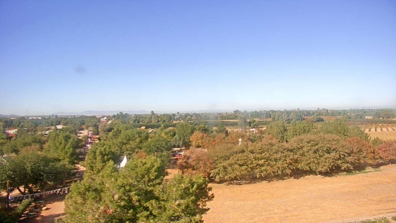 Thumbnail for current weather camera view from Schnepf Farms in Queen Creek, Arizona