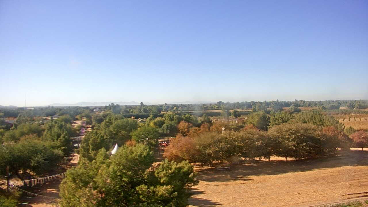Thumbnail for current weather camera view from Schnepf Farms in Queen Creek, Arizona