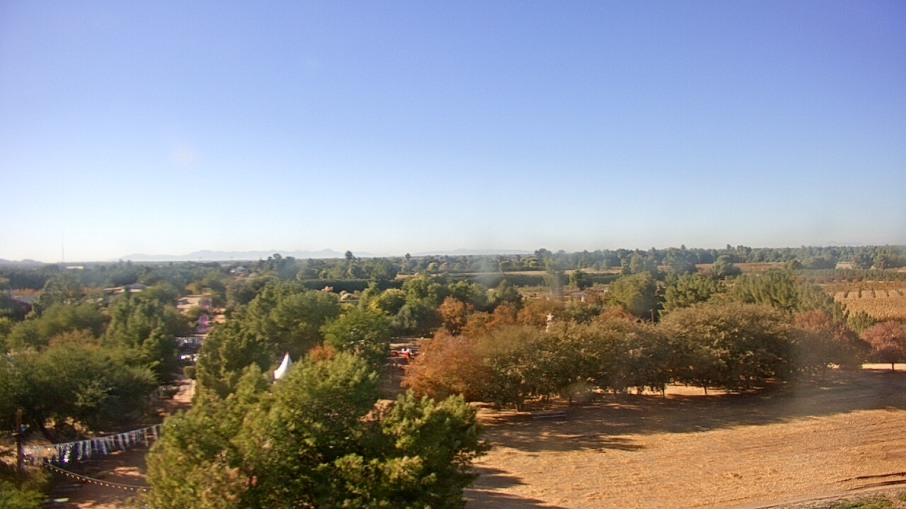 Thumbnail for current weather camera view from Schnepf Farms in Queen Creek, Arizona