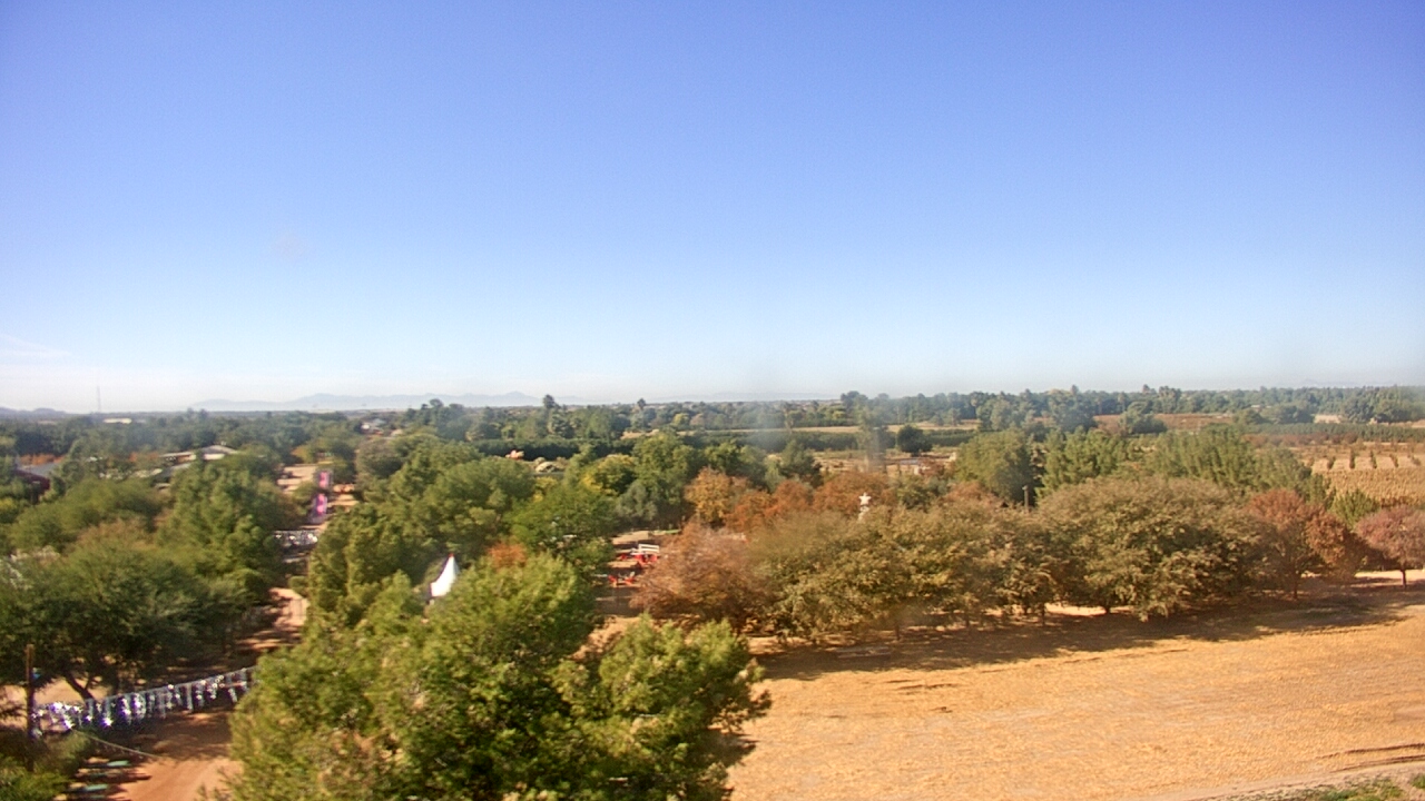 Thumbnail for current weather camera view from Schnepf Farms in Queen Creek, Arizona