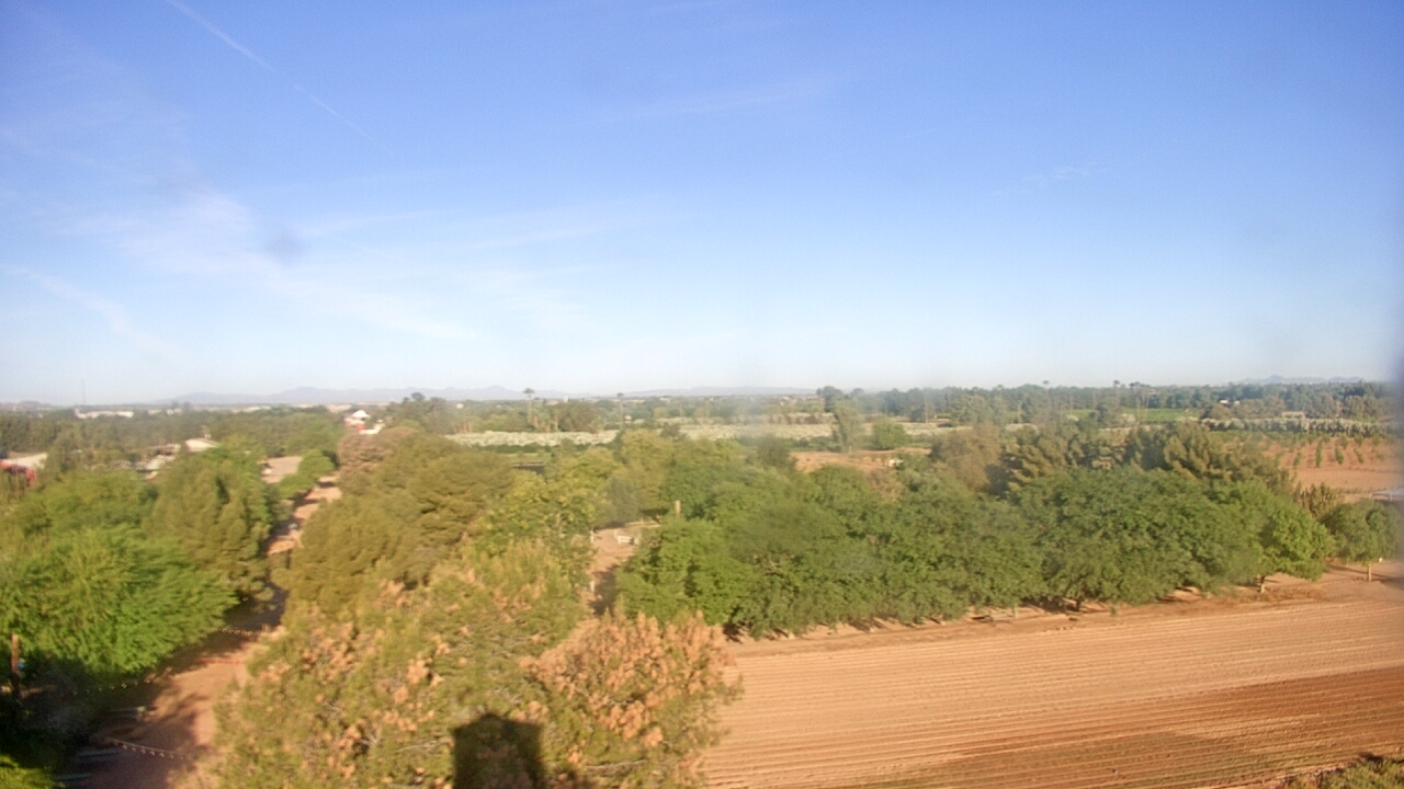 Thumbnail for current weather camera view from Schnepf Farms in Queen Creek, Arizona