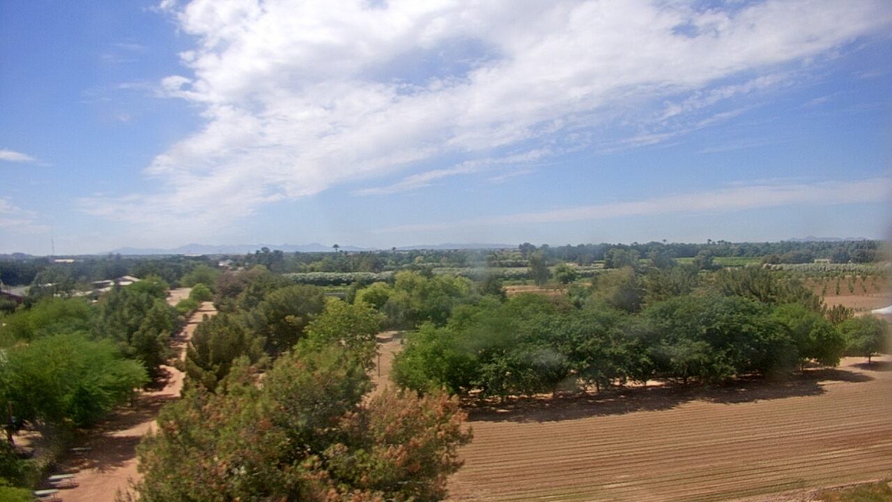 Thumbnail for current weather camera view from Schnepf Farms in Queen Creek, Arizona