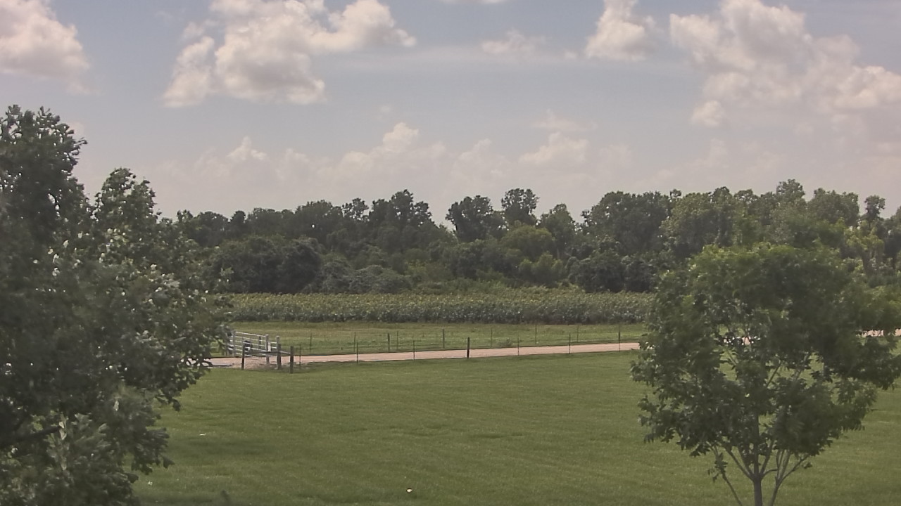 Thumbnail for current weather camera view from Long Acres Ranch in Richmond, Texas