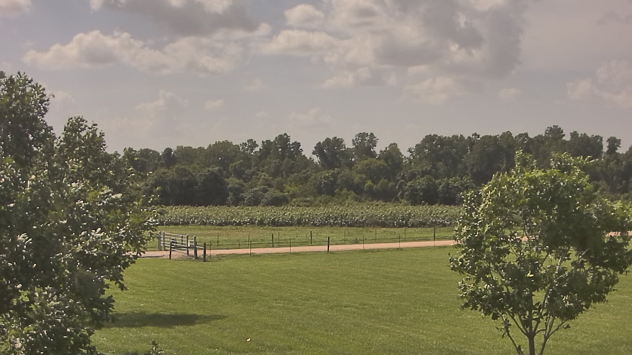 Thumbnail for current weather camera view from Long Acres Ranch in Richmond, Texas