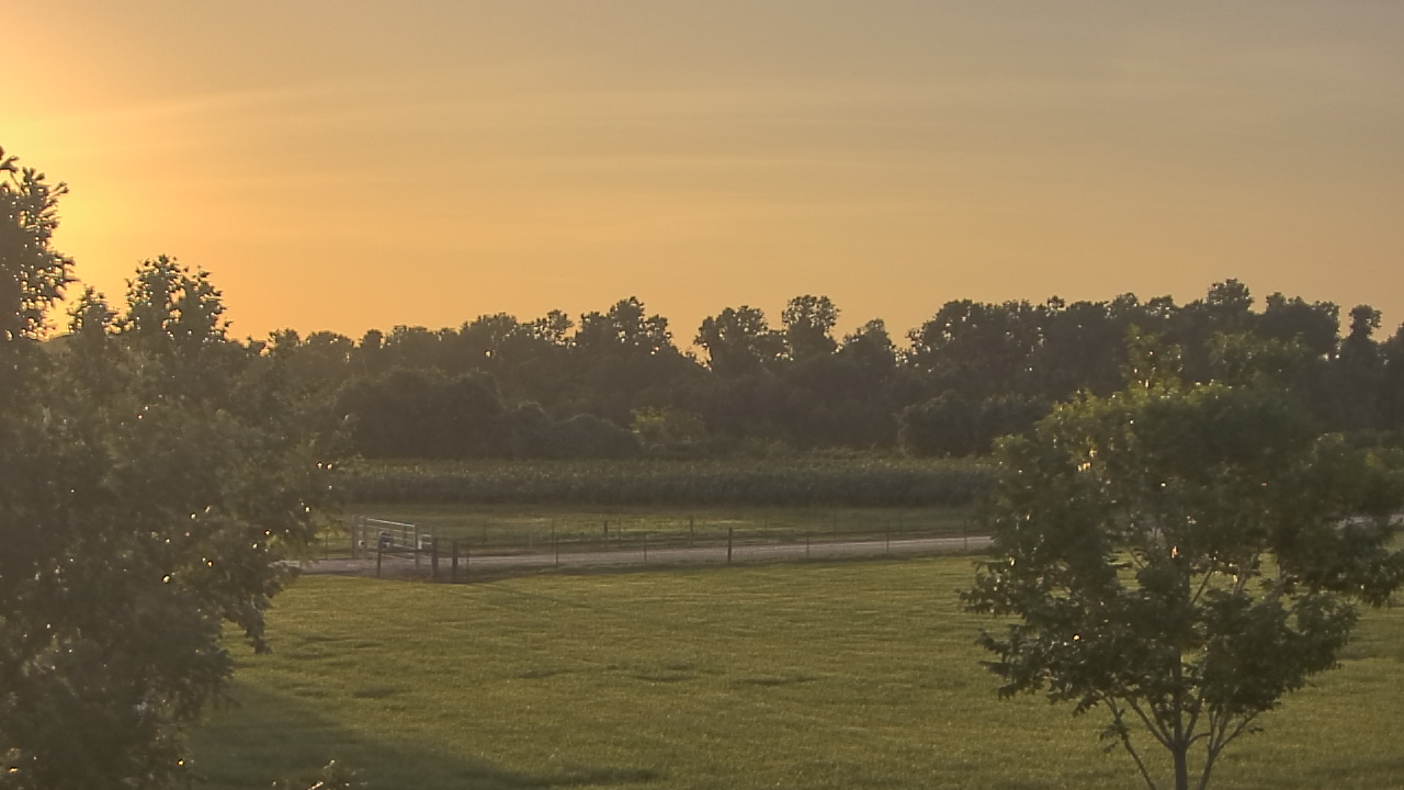 Thumbnail for current weather camera view from Long Acres Ranch in Richmond, Texas
