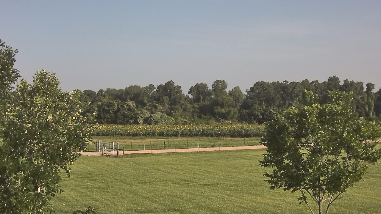 Thumbnail for current weather camera view from Long Acres Ranch in Richmond, Texas