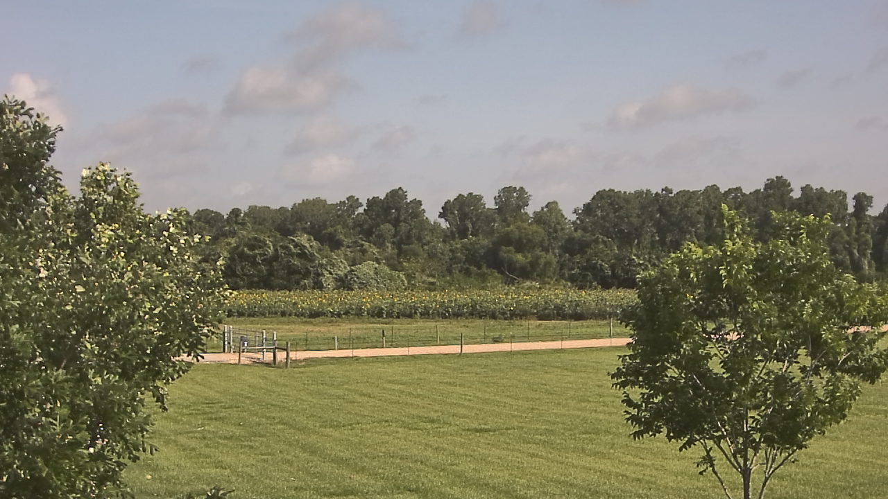 Thumbnail for current weather camera view from Long Acres Ranch in Richmond, Texas