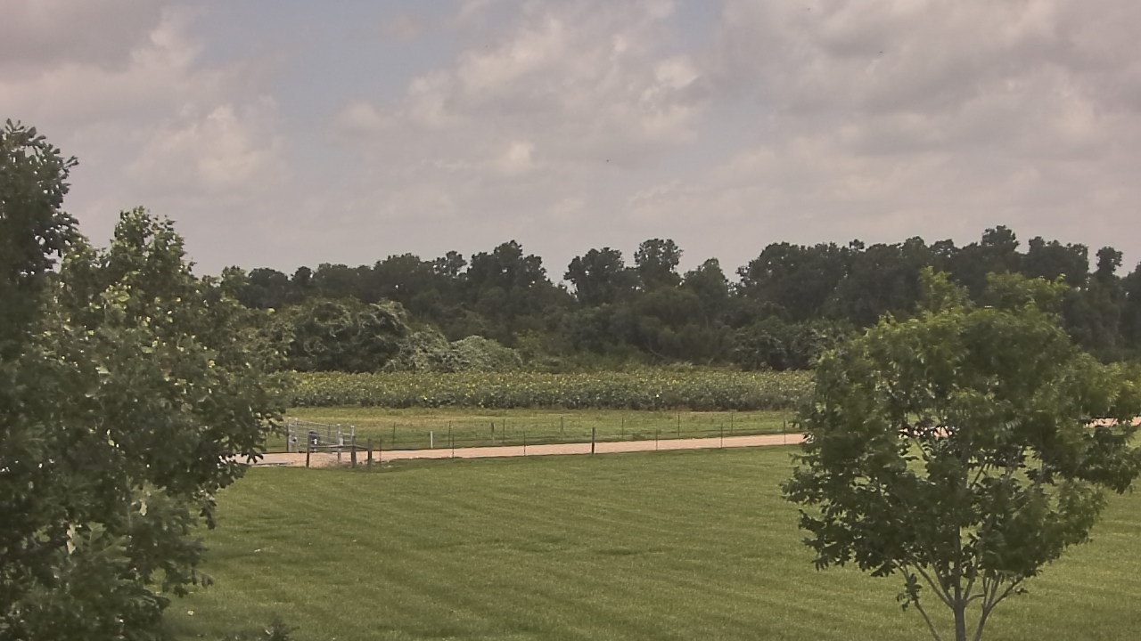 Thumbnail for current weather camera view from Long Acres Ranch in Richmond, Texas