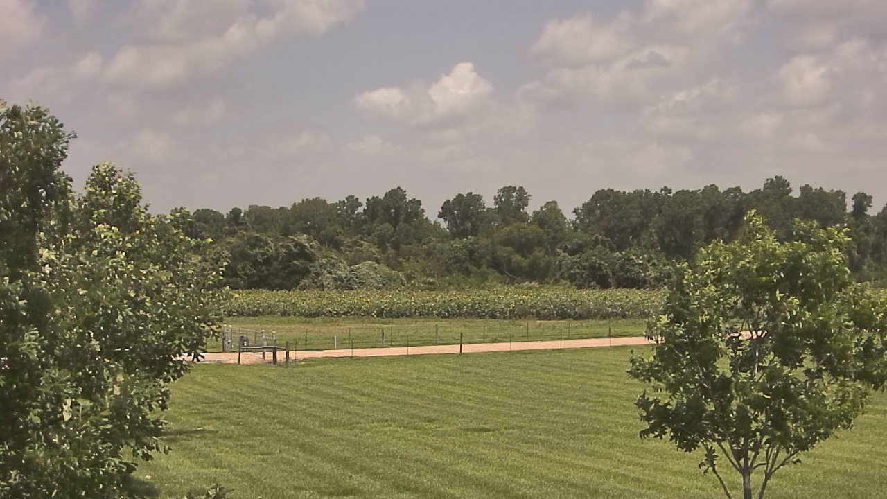 Thumbnail for current weather camera view from Long Acres Ranch in Richmond, Texas