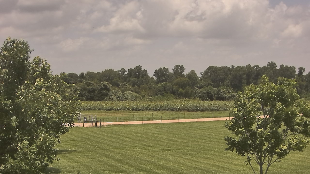 Thumbnail for current weather camera view from Long Acres Ranch in Richmond, Texas