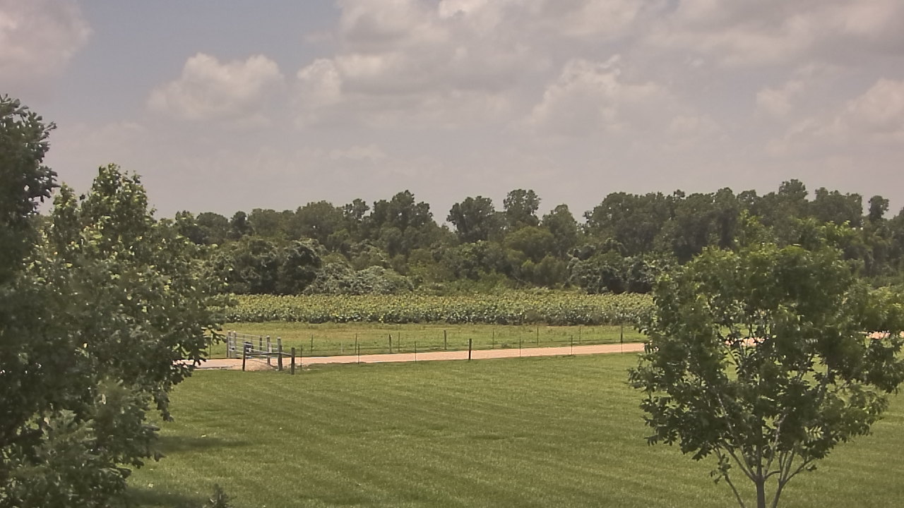 Thumbnail for current weather camera view from Long Acres Ranch in Richmond, Texas