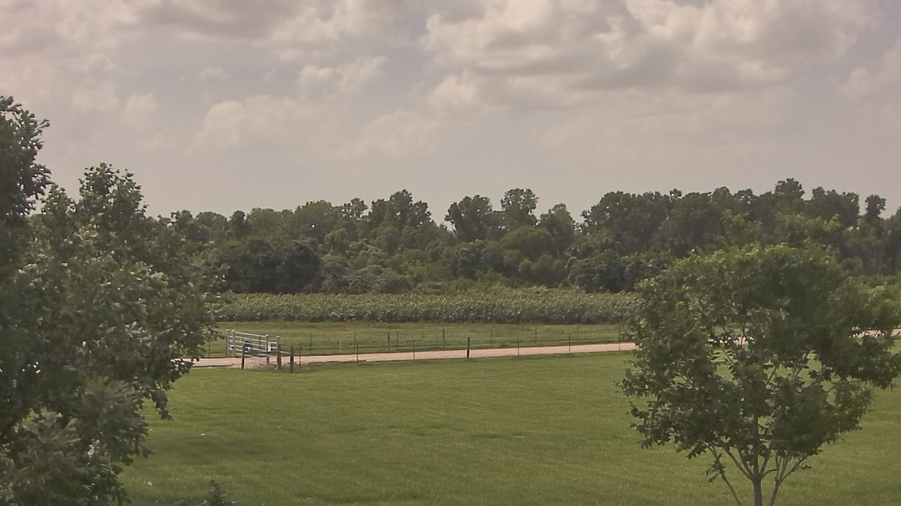 Thumbnail for current weather camera view from Long Acres Ranch in Richmond, Texas
