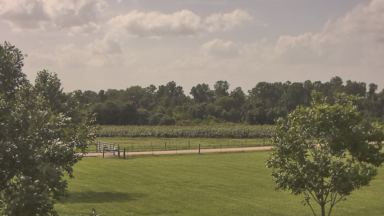 Thumbnail for current weather camera view from Long Acres Ranch in Richmond, Texas