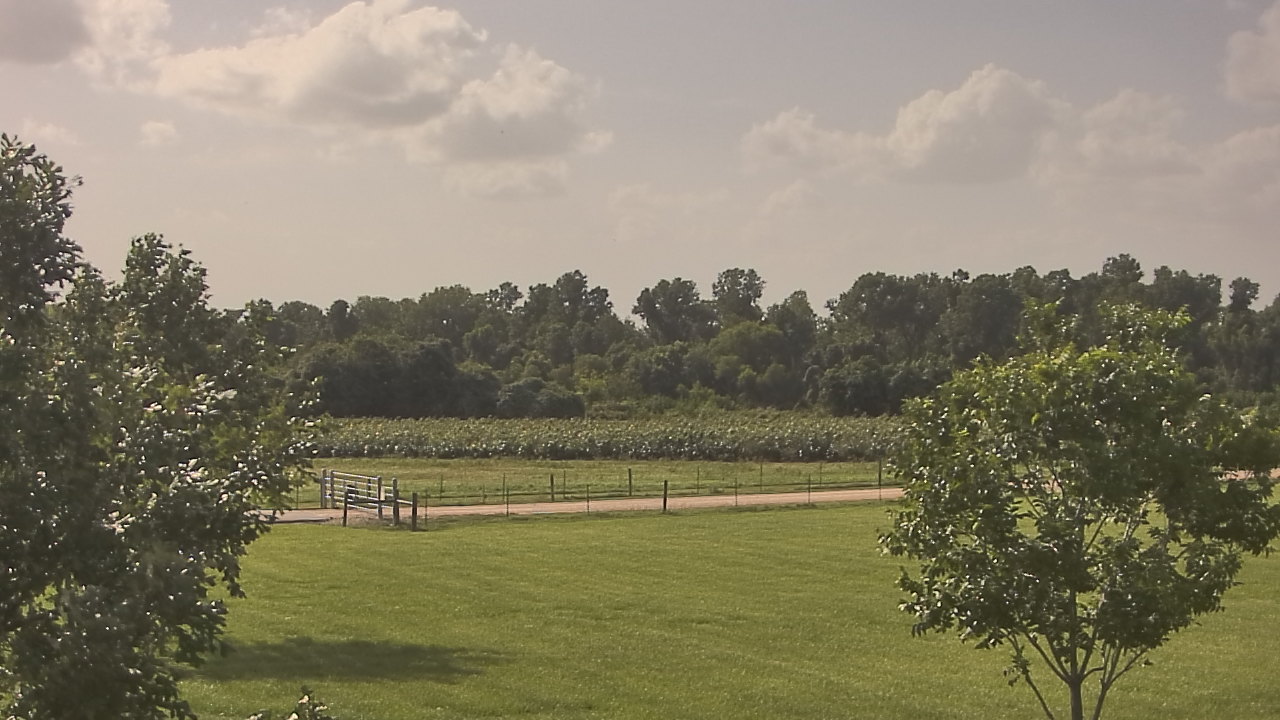 Thumbnail for current weather camera view from Long Acres Ranch in Richmond, Texas