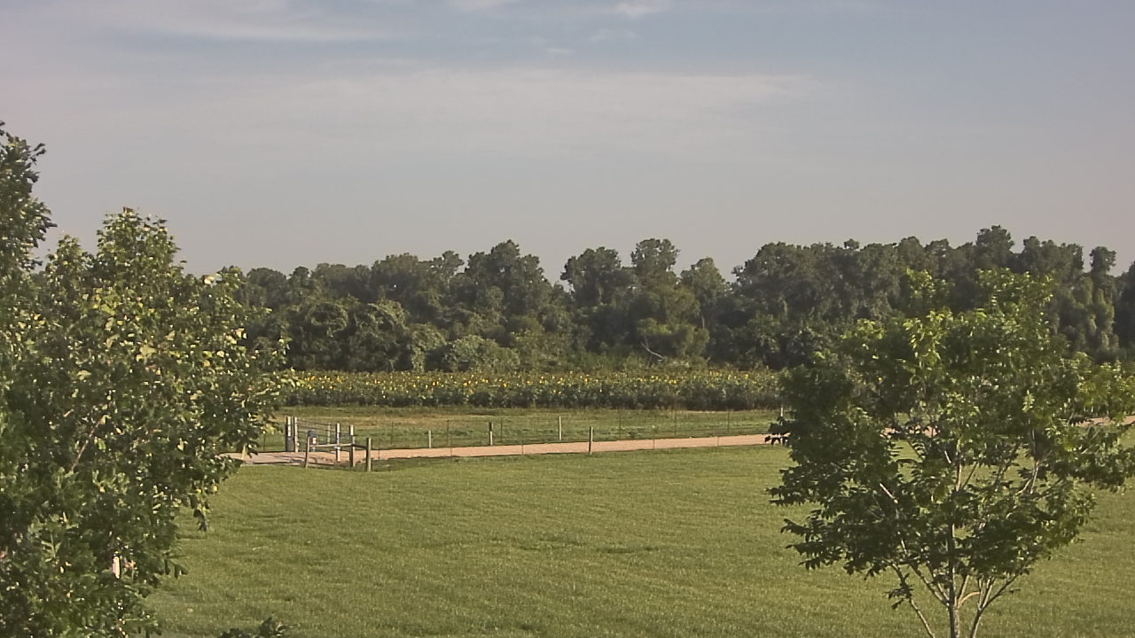 Thumbnail for current weather camera view from Long Acres Ranch in Richmond, Texas