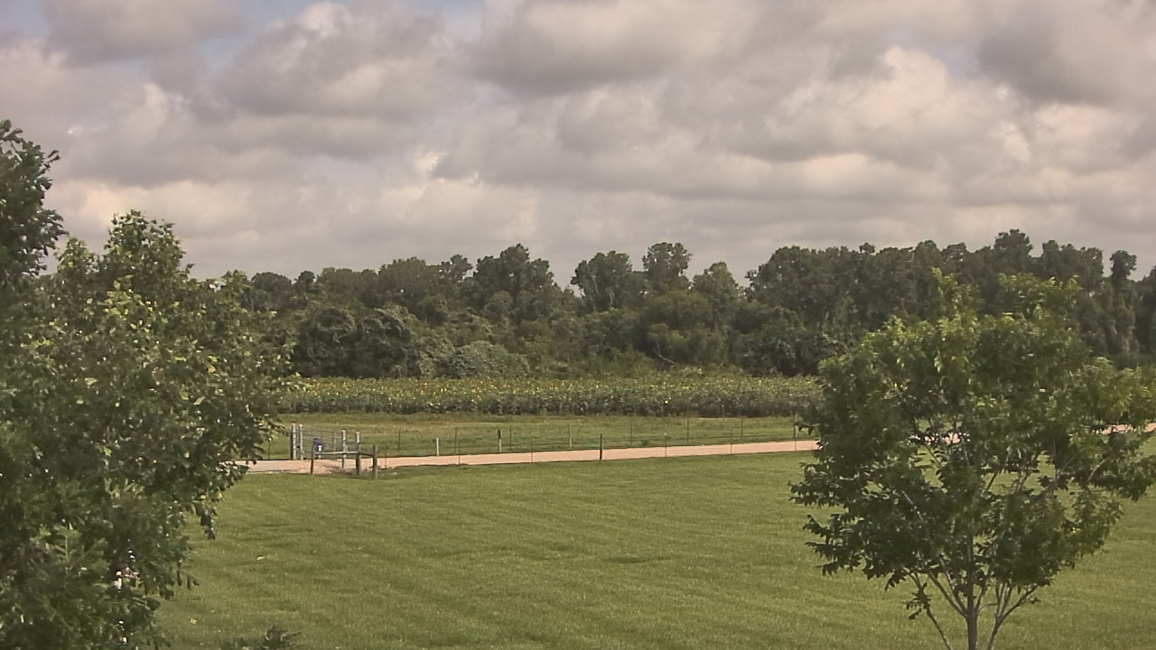 Thumbnail for current weather camera view from Long Acres Ranch in Richmond, Texas