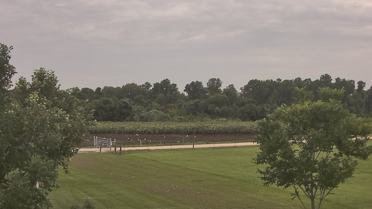 Thumbnail for current weather camera view from Long Acres Ranch in Richmond, Texas