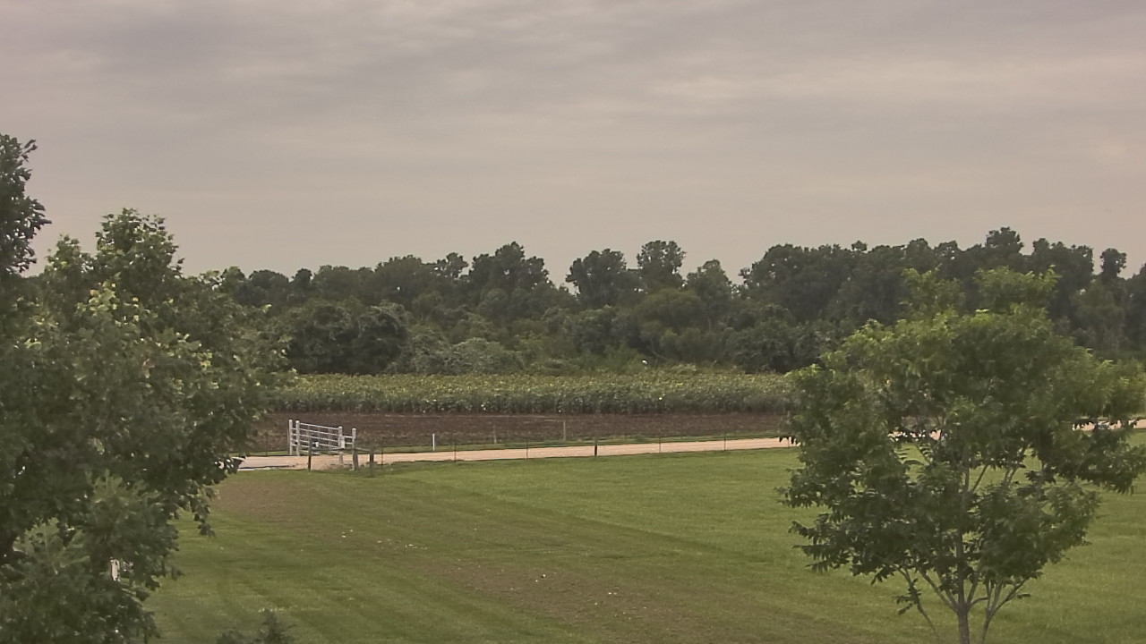 Thumbnail for current weather camera view from Long Acres Ranch in Richmond, Texas