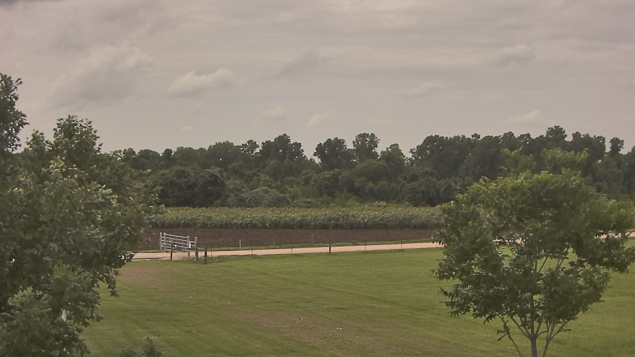 Thumbnail for current weather camera view from Long Acres Ranch in Richmond, Texas