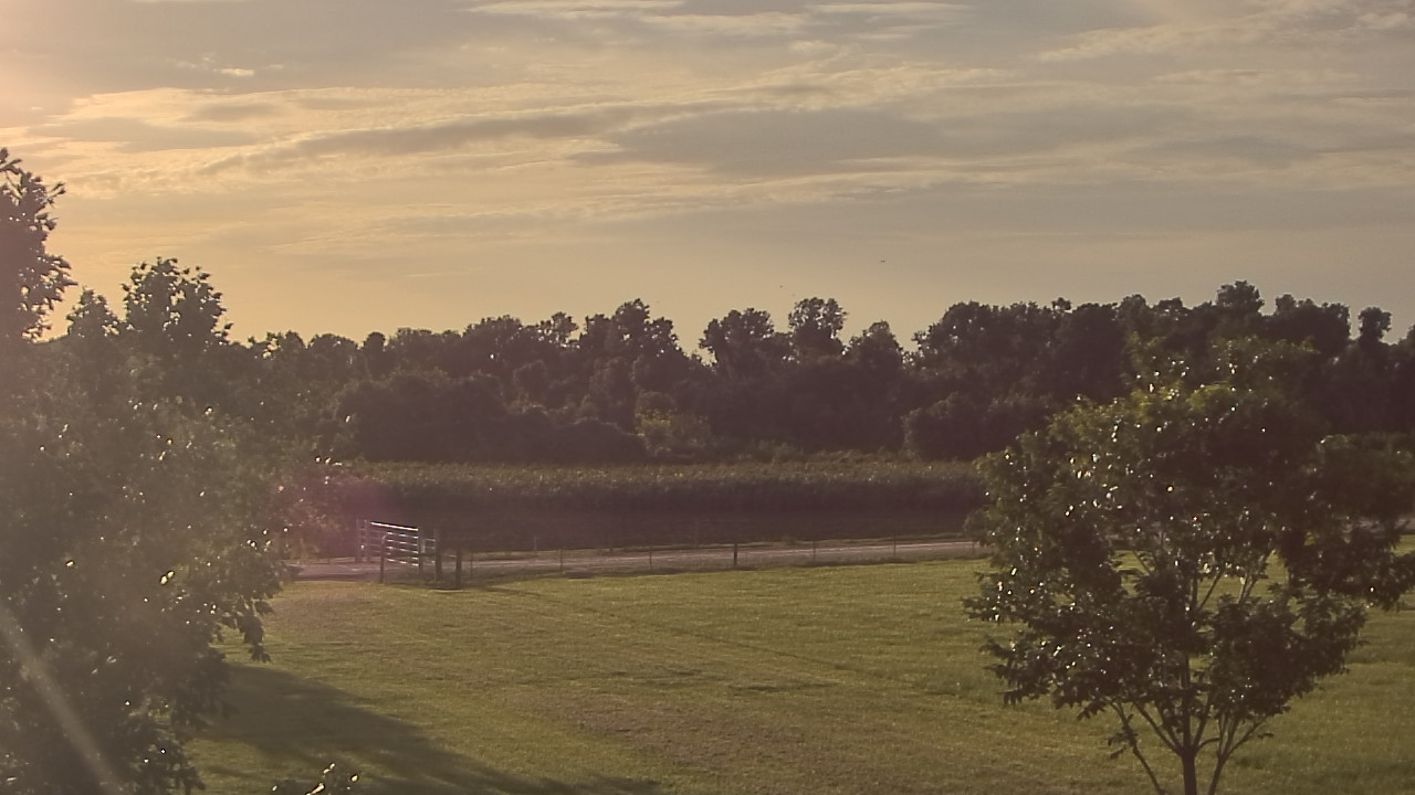 Thumbnail for current weather camera view from Long Acres Ranch in Richmond, Texas