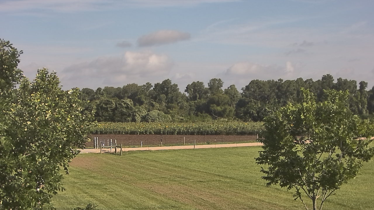 Thumbnail for current weather camera view from Long Acres Ranch in Richmond, Texas