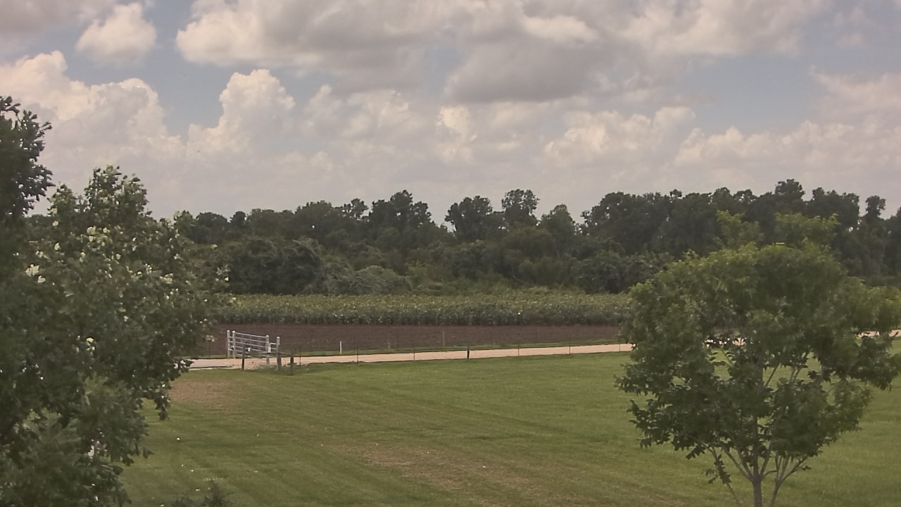 Thumbnail for current weather camera view from Long Acres Ranch in Richmond, Texas