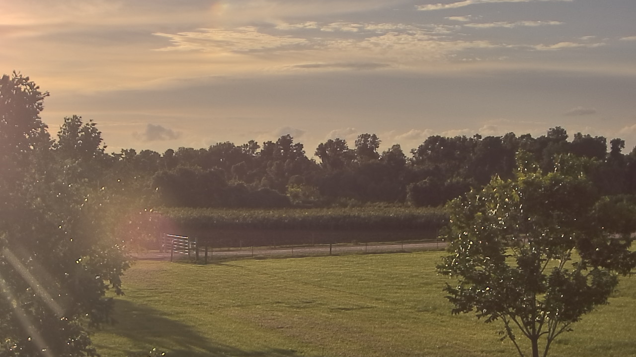 Thumbnail for current weather camera view from Long Acres Ranch in Richmond, Texas