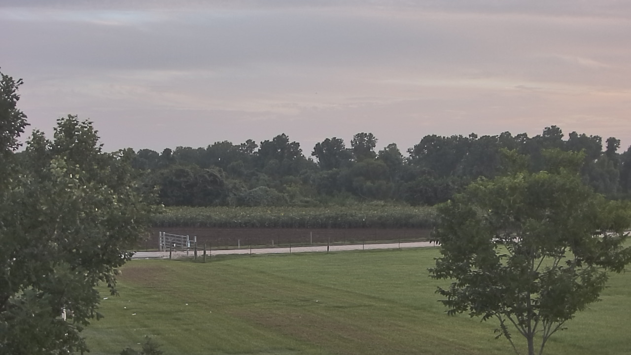 Thumbnail for current weather camera view from Long Acres Ranch in Richmond, Texas