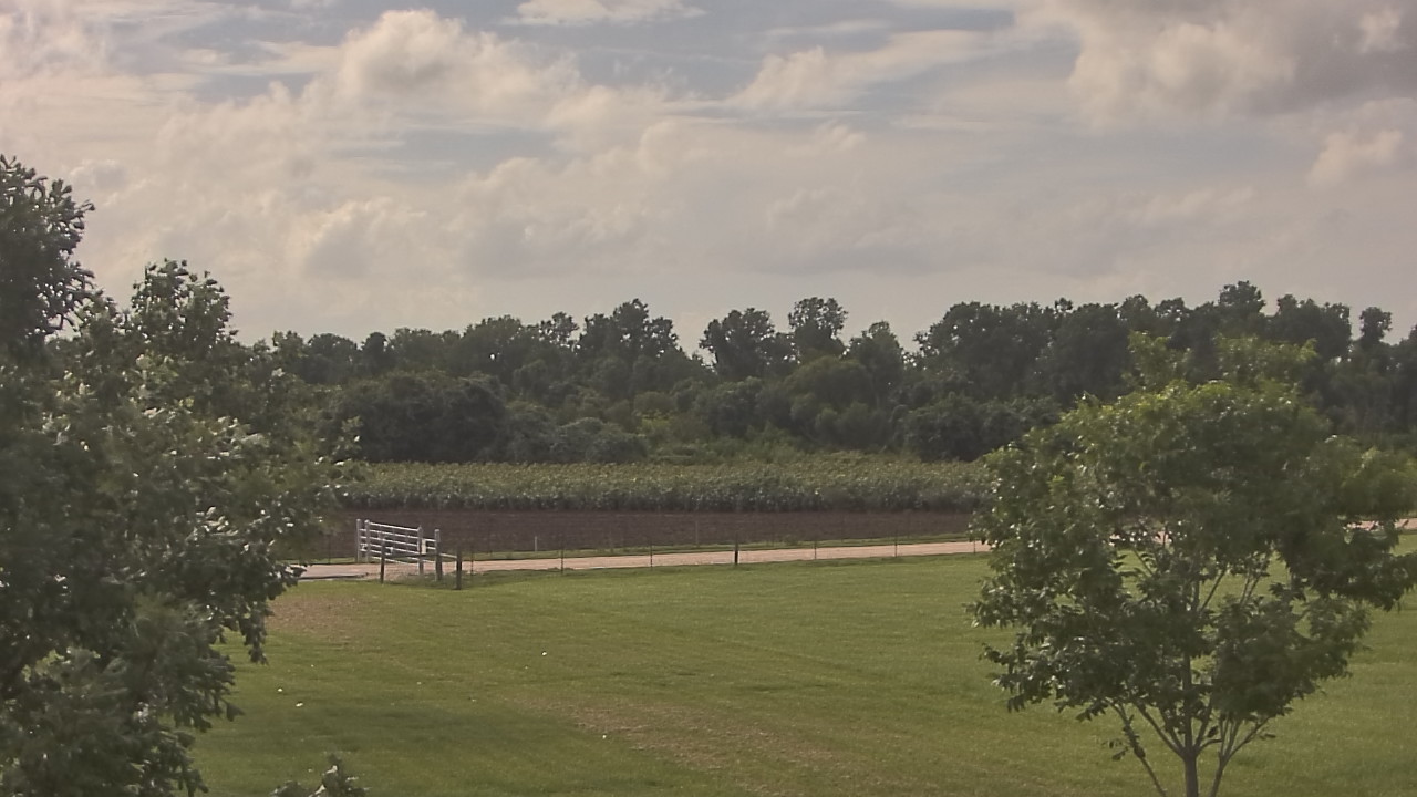 Thumbnail for current weather camera view from Long Acres Ranch in Richmond, Texas