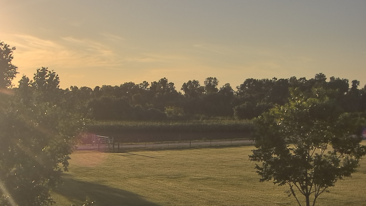 Thumbnail for current weather camera view from Long Acres Ranch in Richmond, Texas