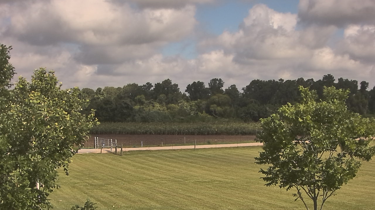 Thumbnail for current weather camera view from Long Acres Ranch in Richmond, Texas