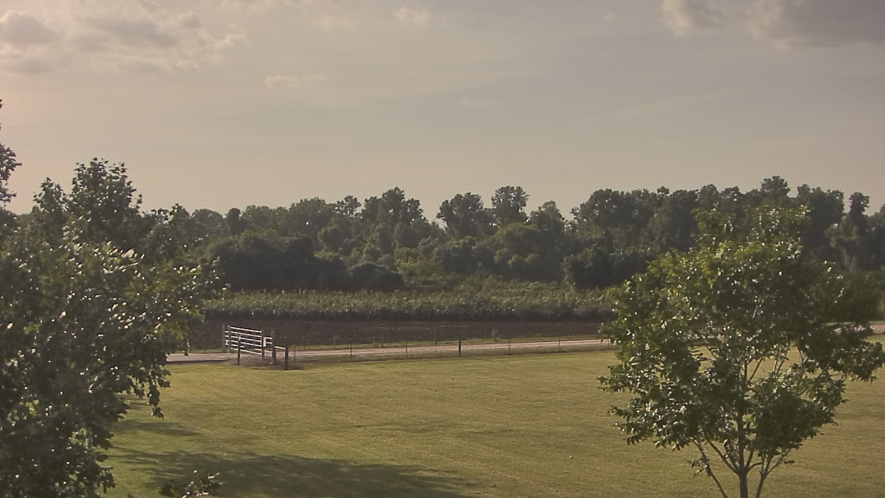 Thumbnail for current weather camera view from Long Acres Ranch in Richmond, Texas