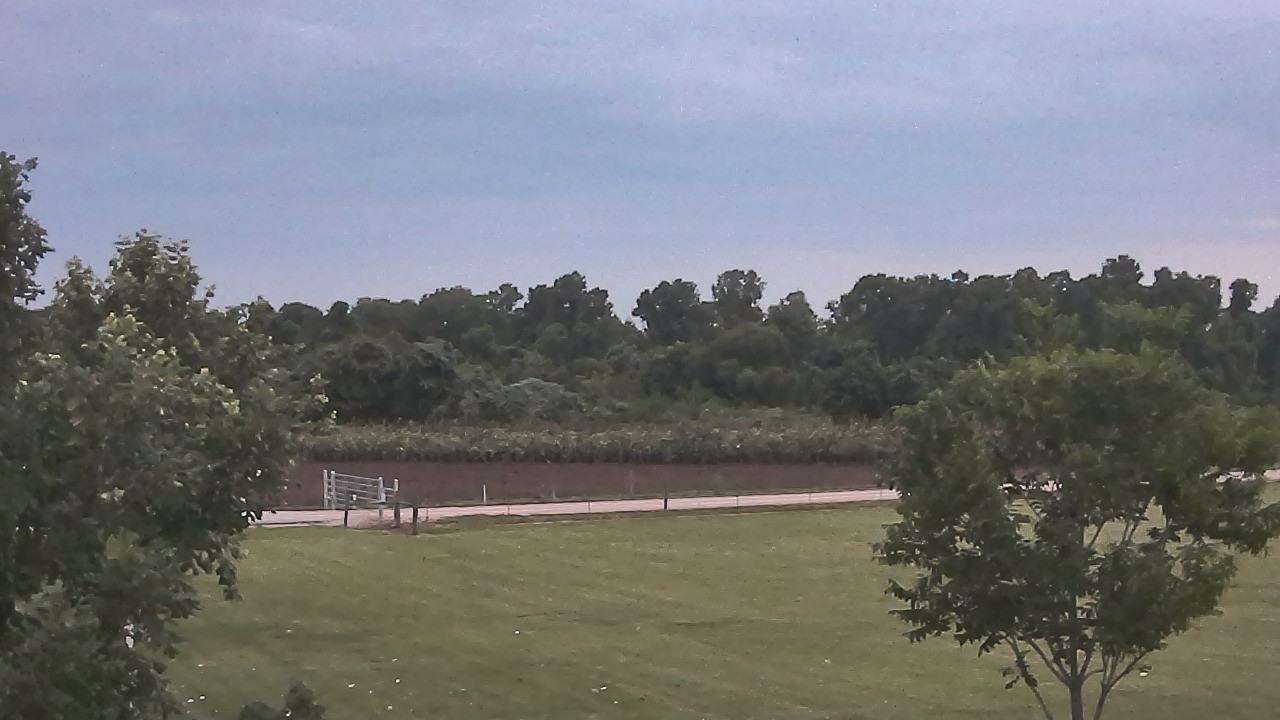Thumbnail for current weather camera view from Long Acres Ranch in Richmond, Texas